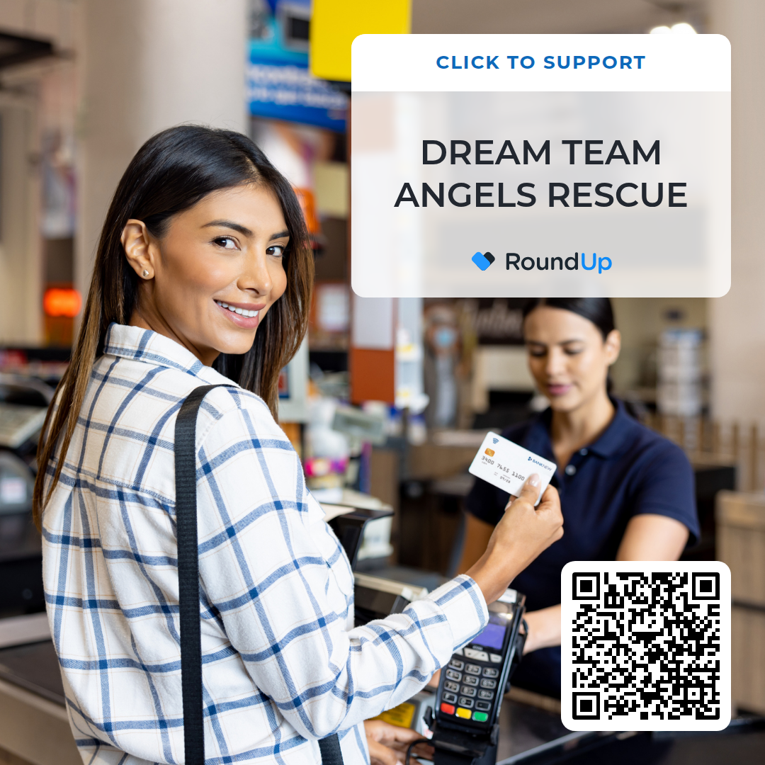 Donate to Dream Team Angels Rescue by rounding up